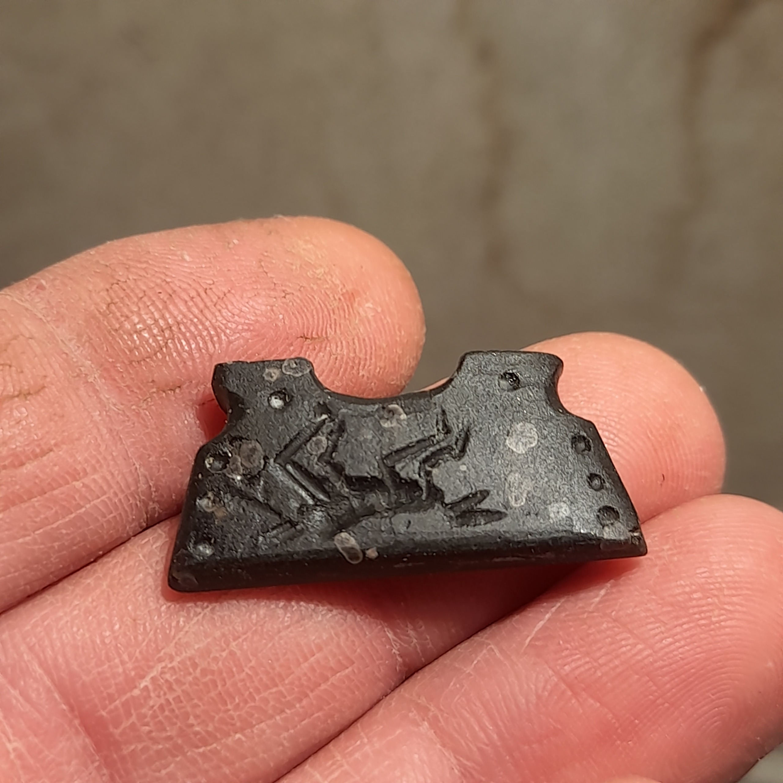 مهره نشاندار گردنی