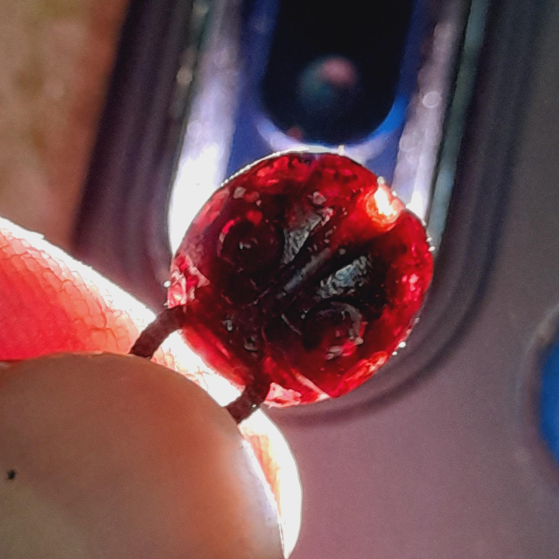 مهره سوسکی یاقوت سیلان