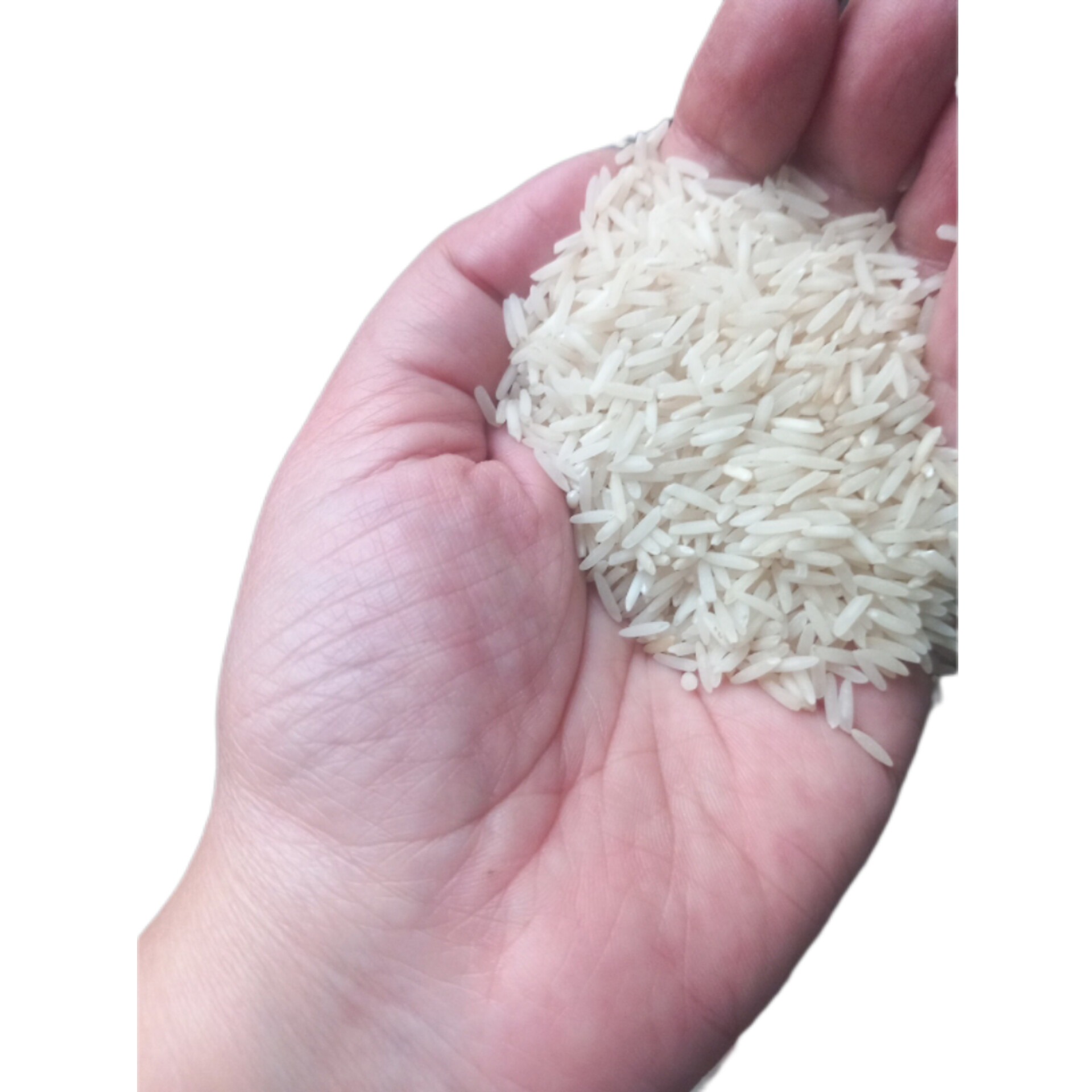 برنج دمسیاه آستانه اشرفیه