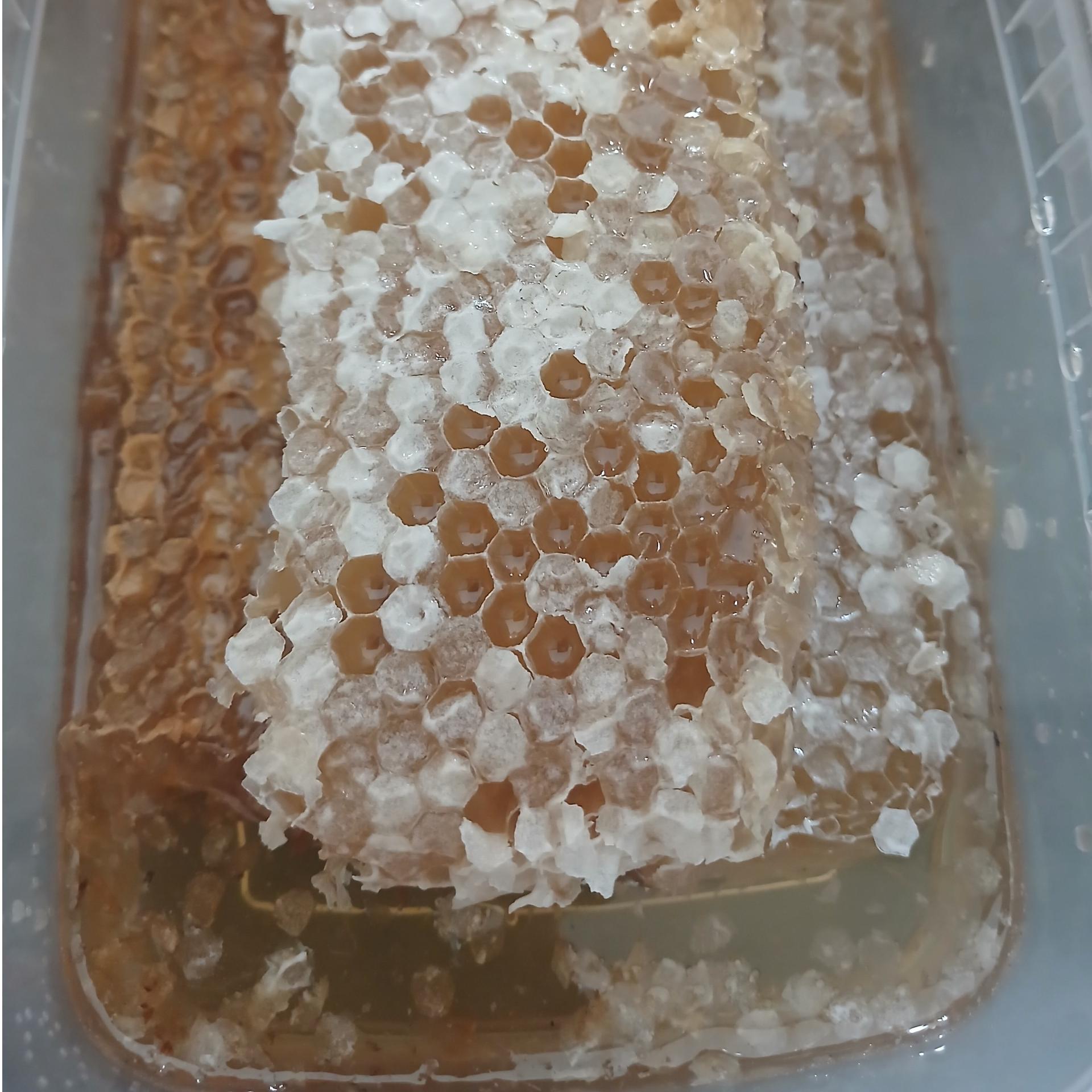 عسل طبیعی موم آویشن 1 کیلوگرم درجه 1