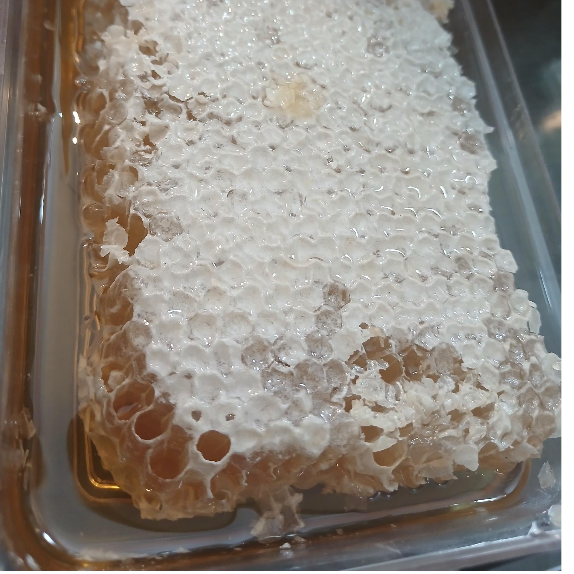 عسل طبیعی موم آویشن 500 گرم