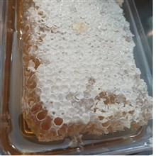 عسل