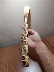 پاشنه