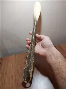 پاشنه