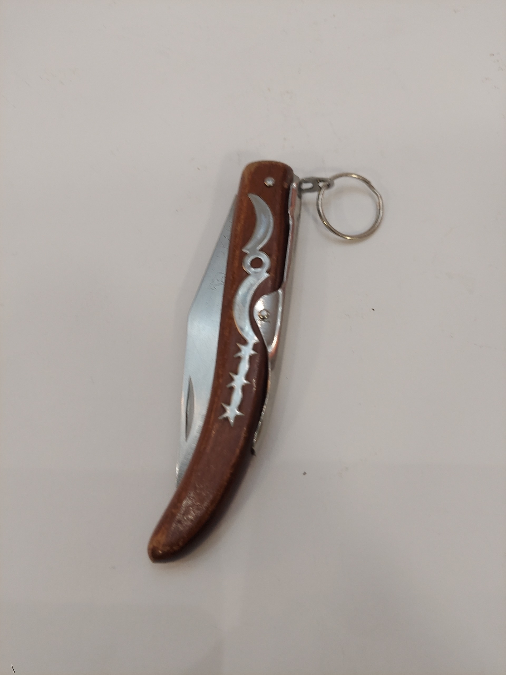 چاقو اکاپی اصل آفریقایی سایز درشت به شرط