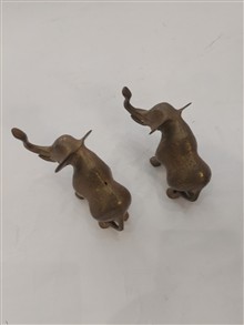 جفت