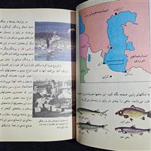اجتماعی