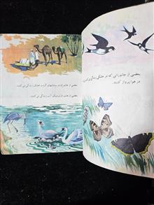 علوم