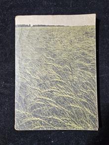 ریاضی