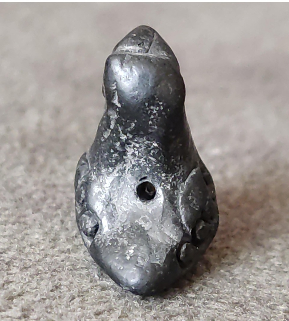 مهره کهنه پرنده