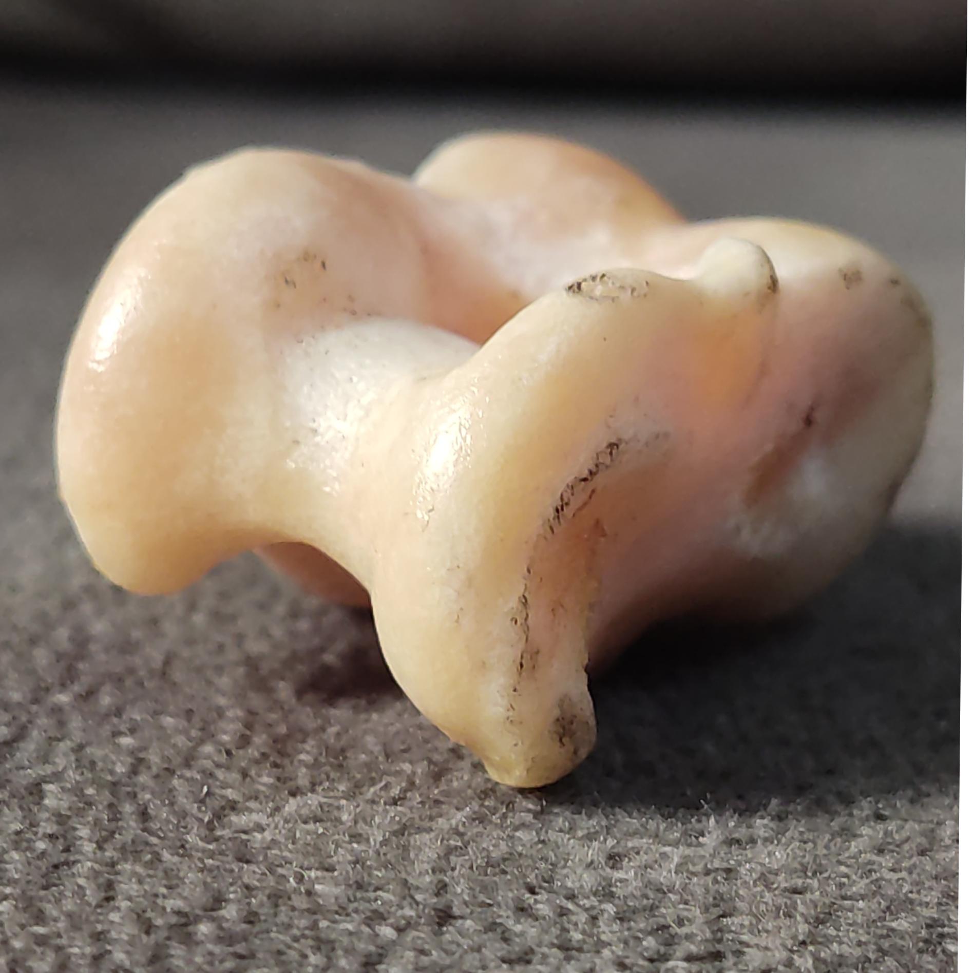 مهره قاپ یا بجول توضیحات دارد