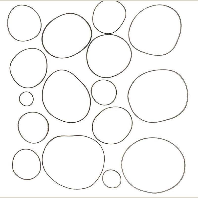 پک 5 عددی تسمه ضبط به انتخاب شما