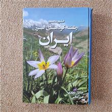 فلور