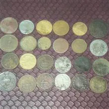 24