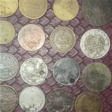 24