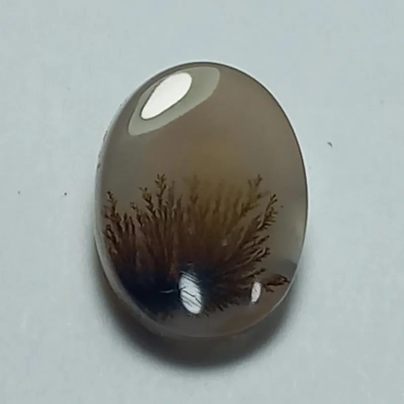 شجر فوق زیبا قائن  نقاشی طبیعت  کاملا طبیعی