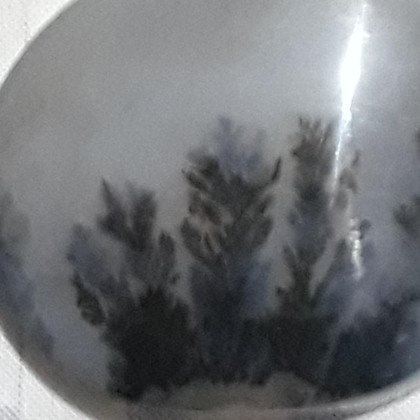 سنگ شجر طبیعی