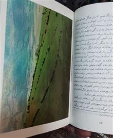 مینا