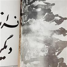 دیدگاهها