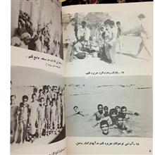 خلیج