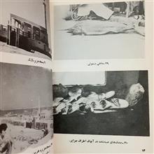 خلیج