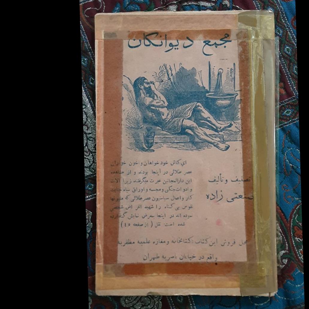 مجمع دیوانگان از صنعتی زاده