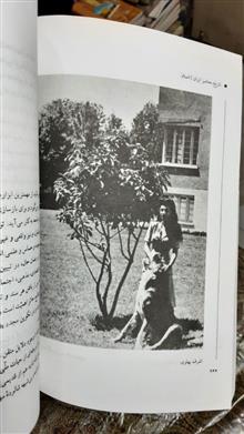 تاریخ
