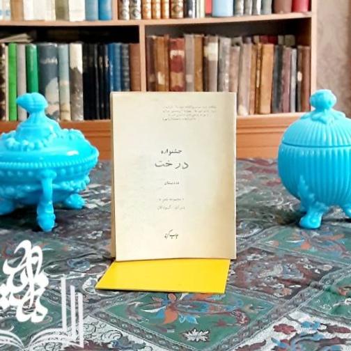 جشنواره درخت بنیاد دوستداران درخت