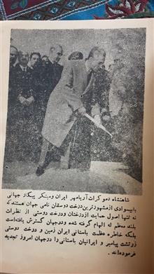 جشنواره