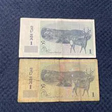 اسکناس
