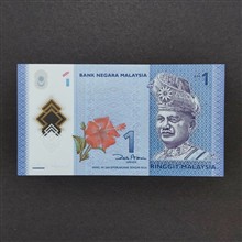 اسکناس