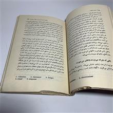 انسان