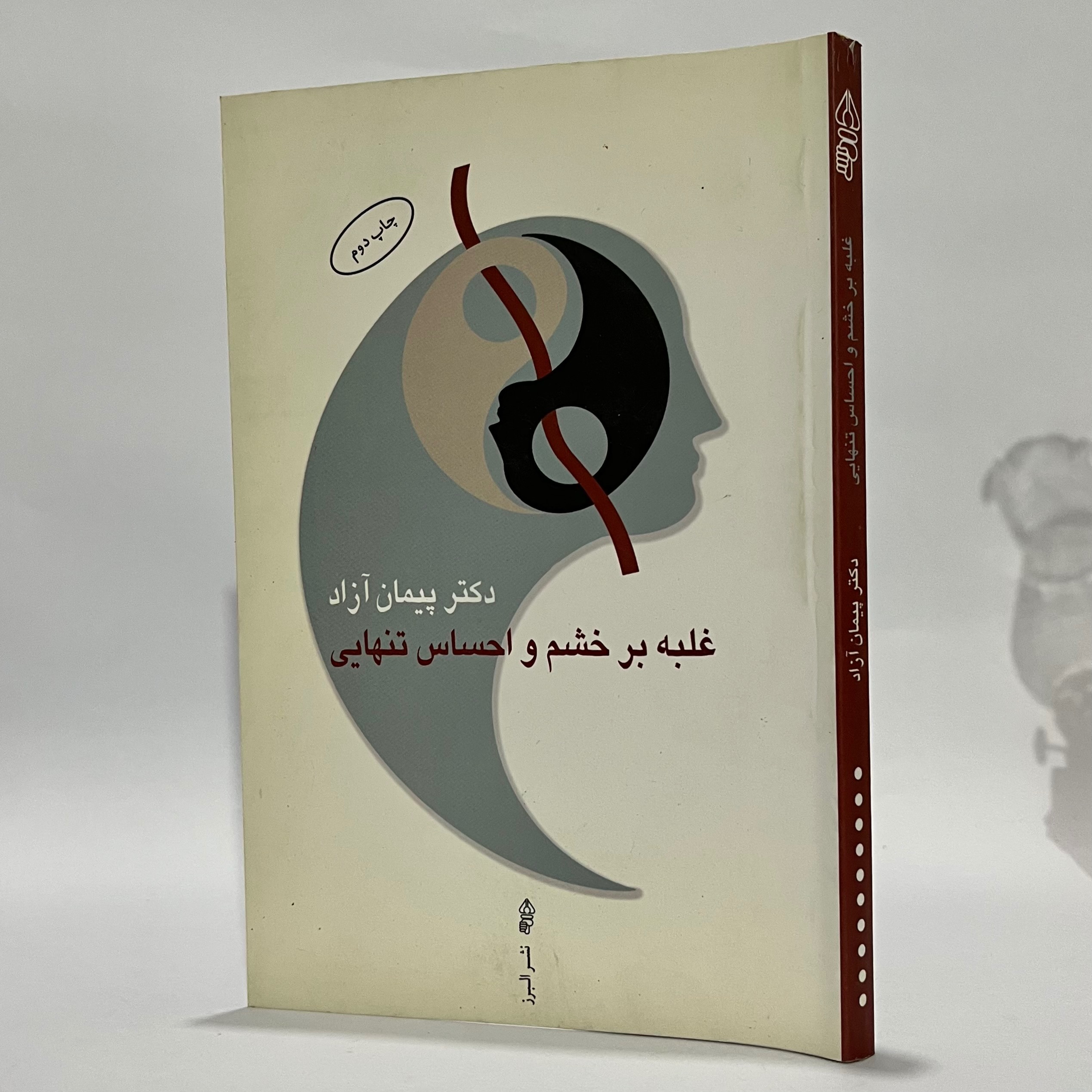 غلبه بر خشم و احساس تنهایی - پیمان آزاد
