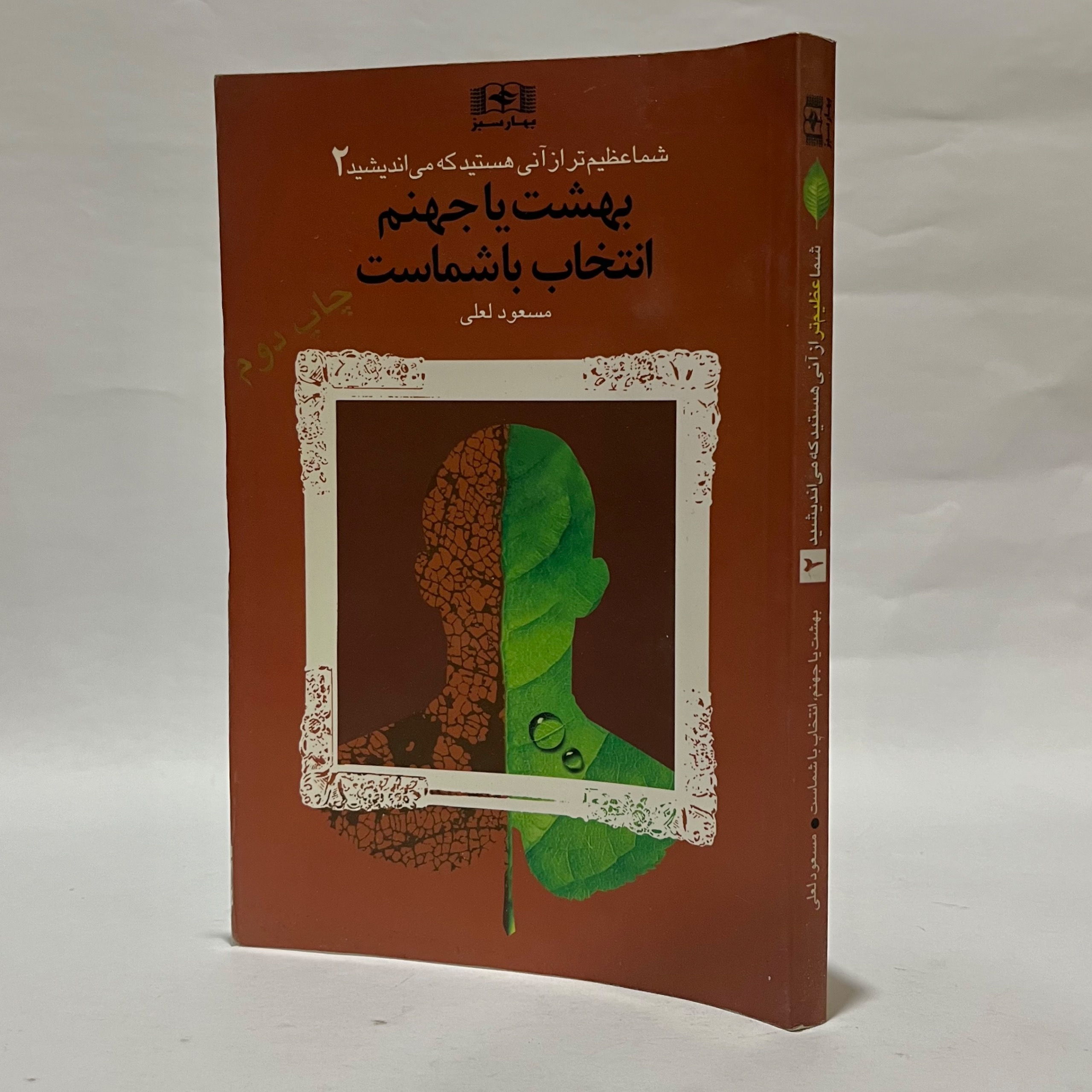 شما عظیم تر از آنی هستید که می اندیشید مسعود لعلی