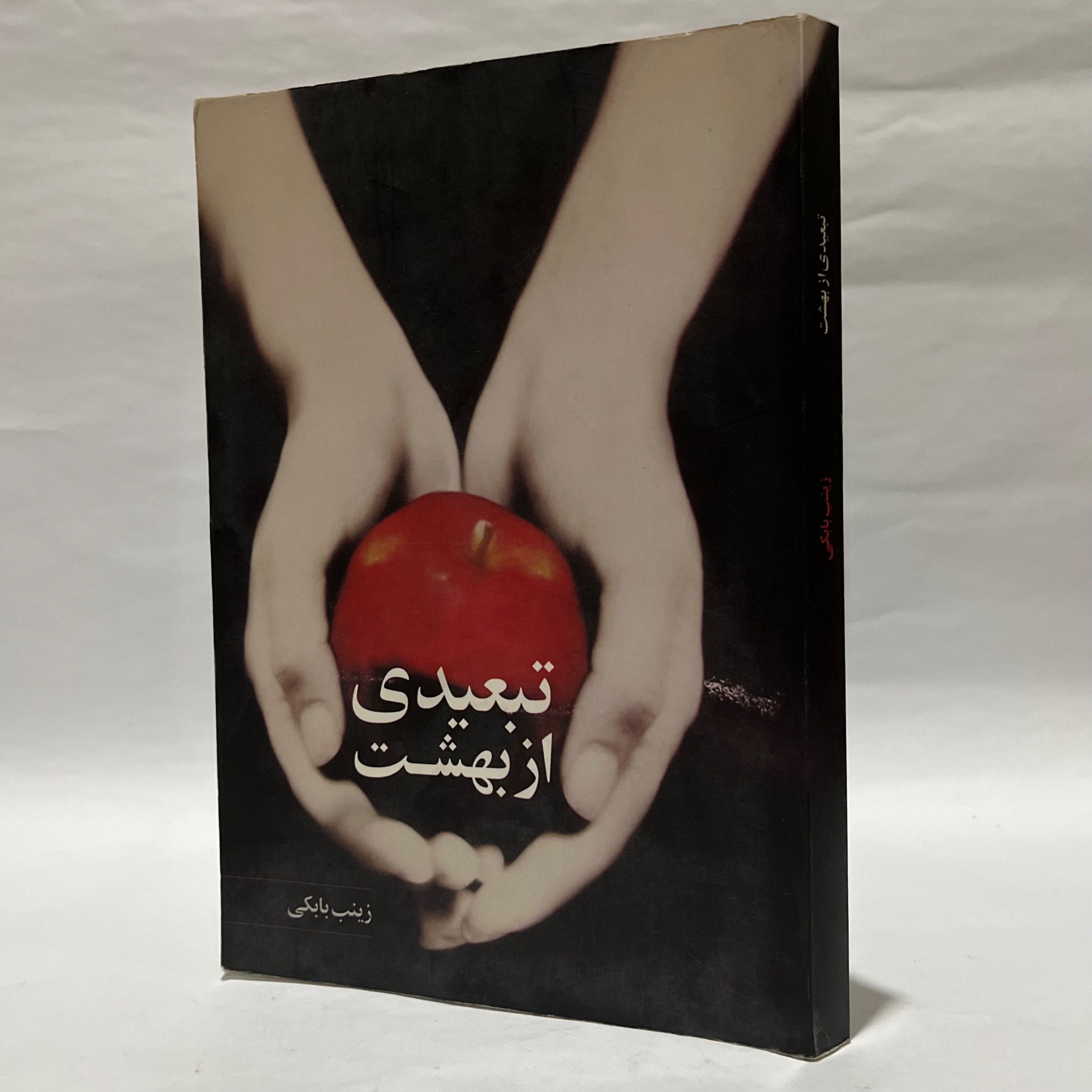تبعیدی از بهشت زینب بابکی