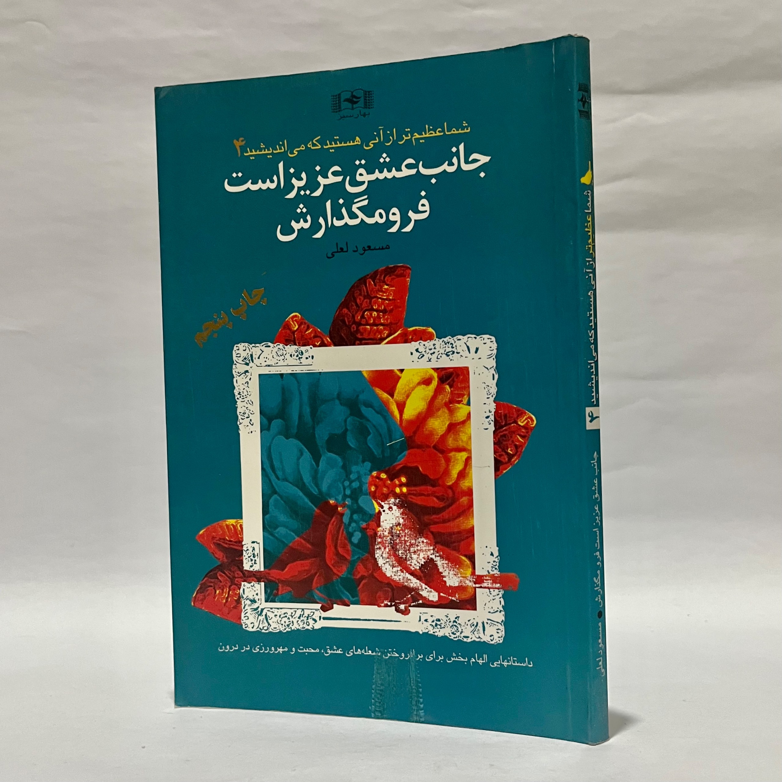 شما عظیم تر از آنی هستید که می اندیشید4 مسعود لعلی
