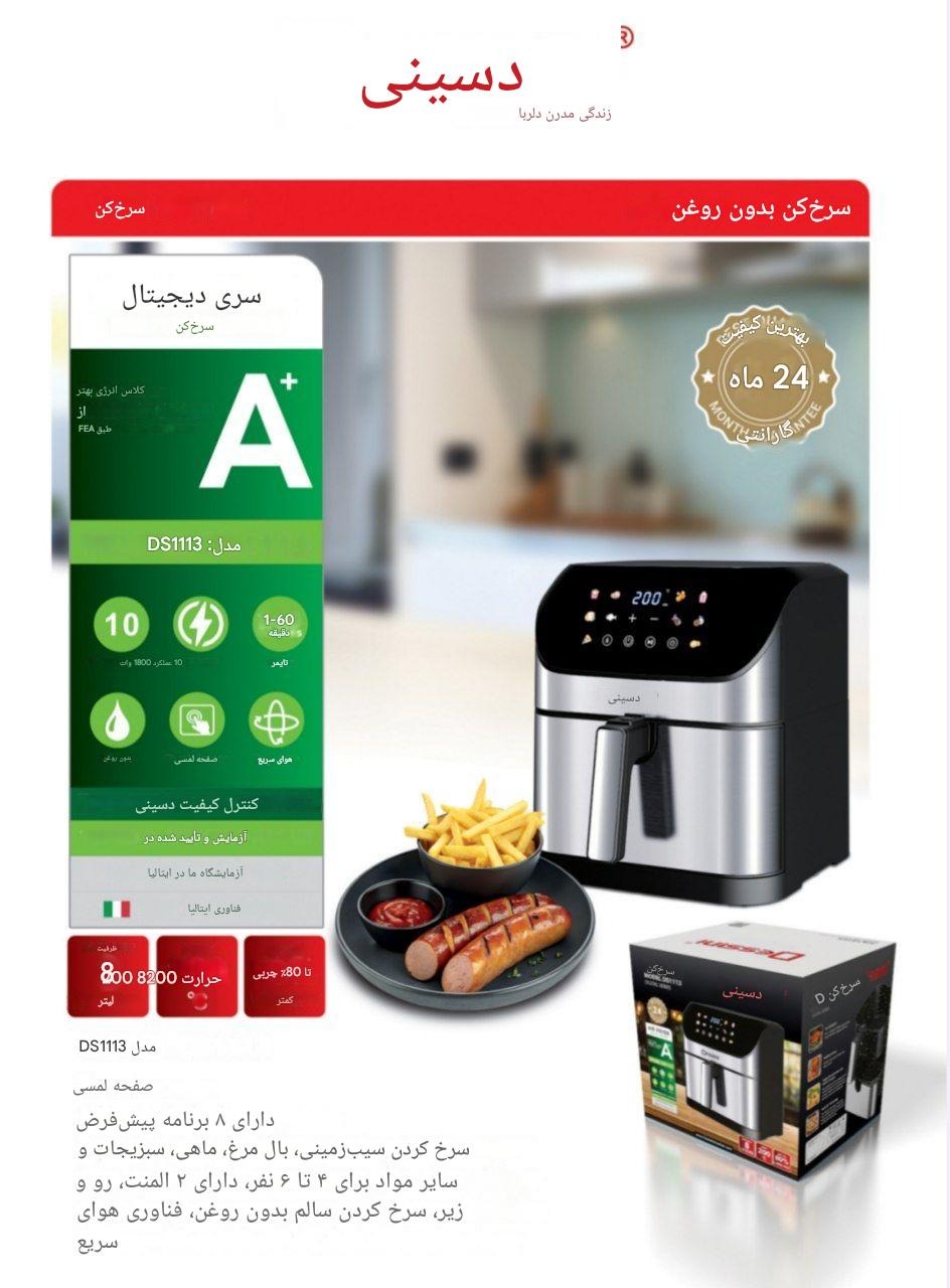 سرخ کن دسینی مدل DS_1113