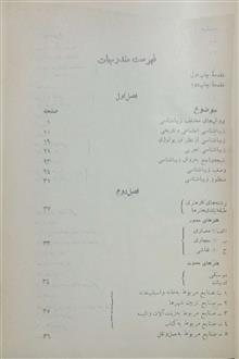 زیبا