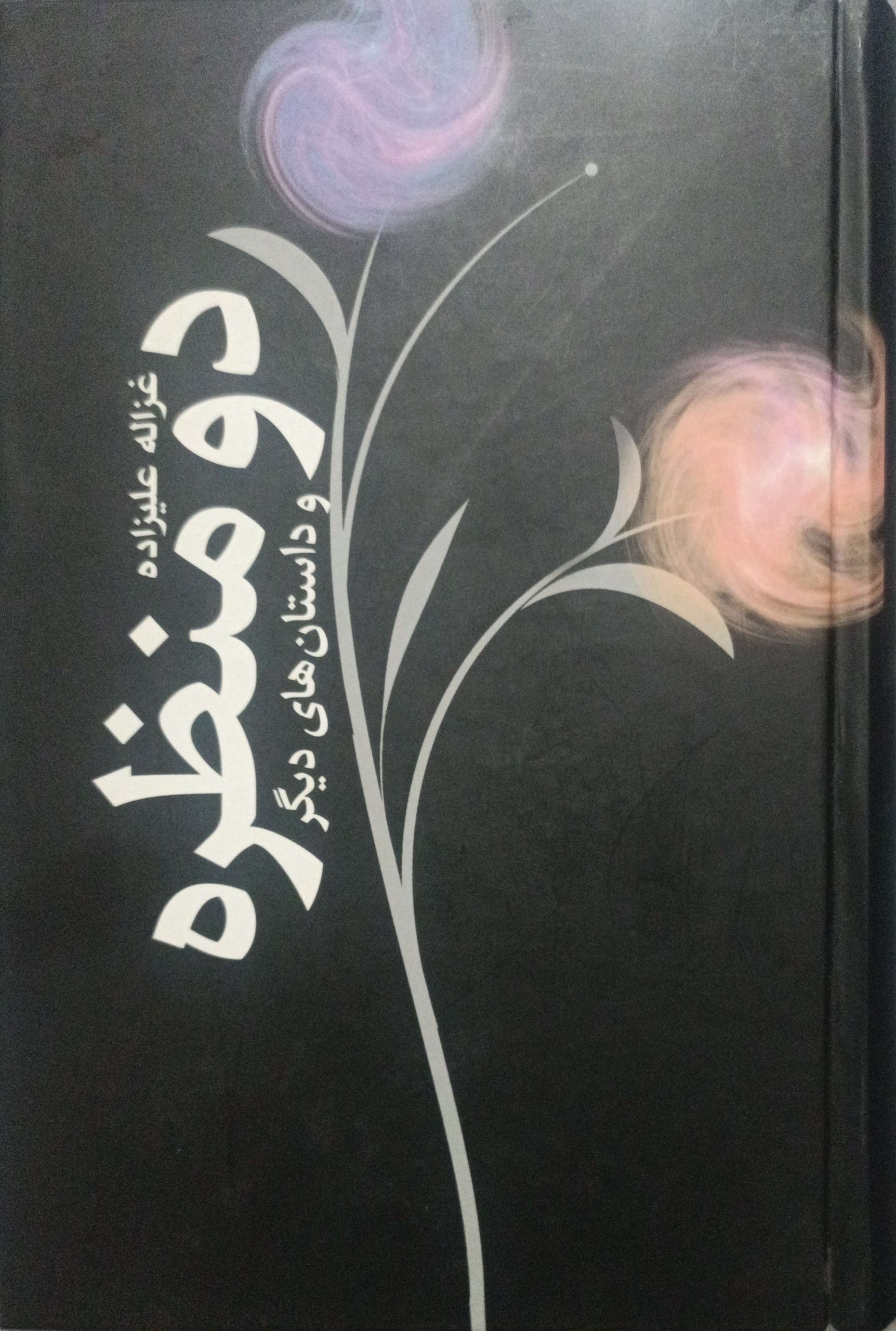 دو منظره و داستانهای دیگر