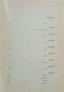 میمون