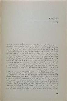 میمون