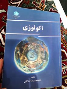 یک