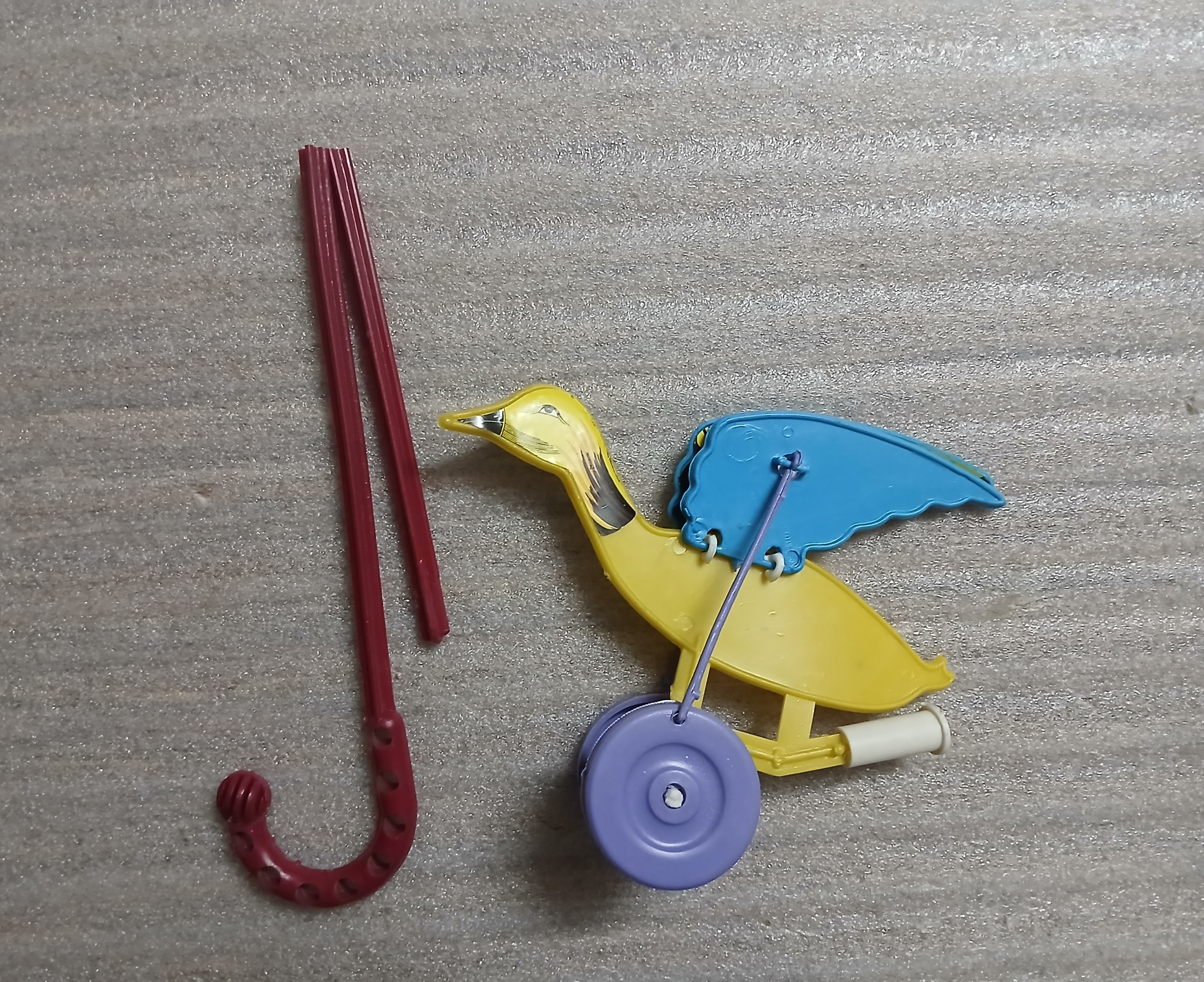 کبوتر عصا دار کلکسیونی (توضیحات دارد)