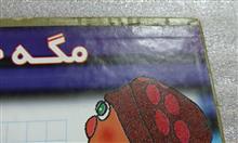 تخته