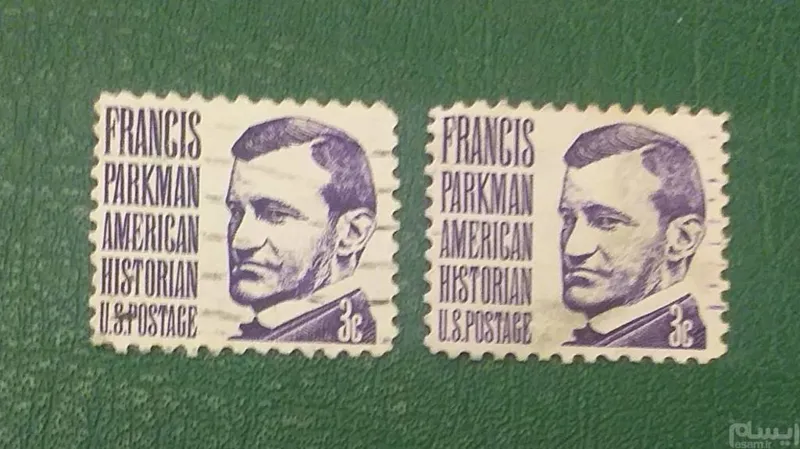 تمبر آمریکا 1966 جفت و اصل ( کد1307 )