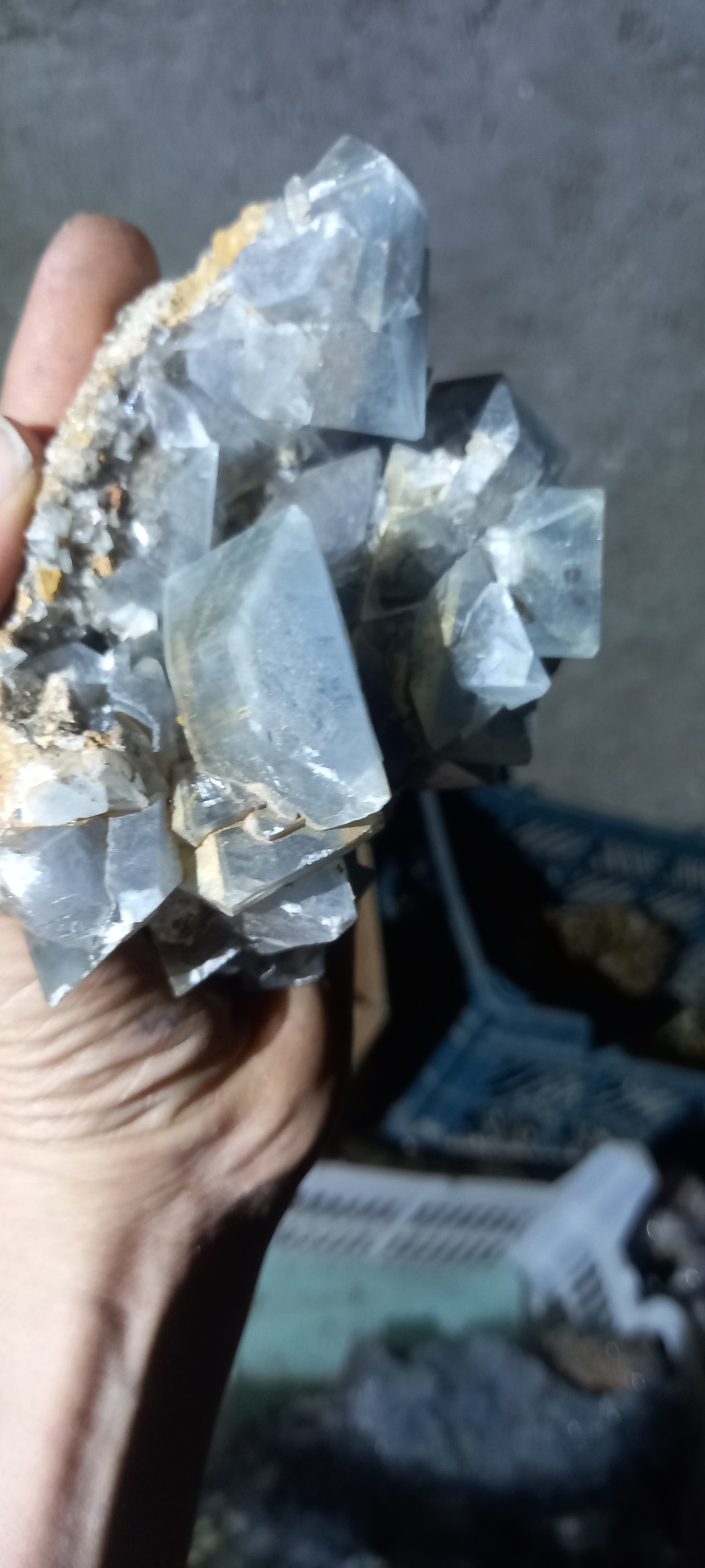 سنگ سلستین بالشتکی