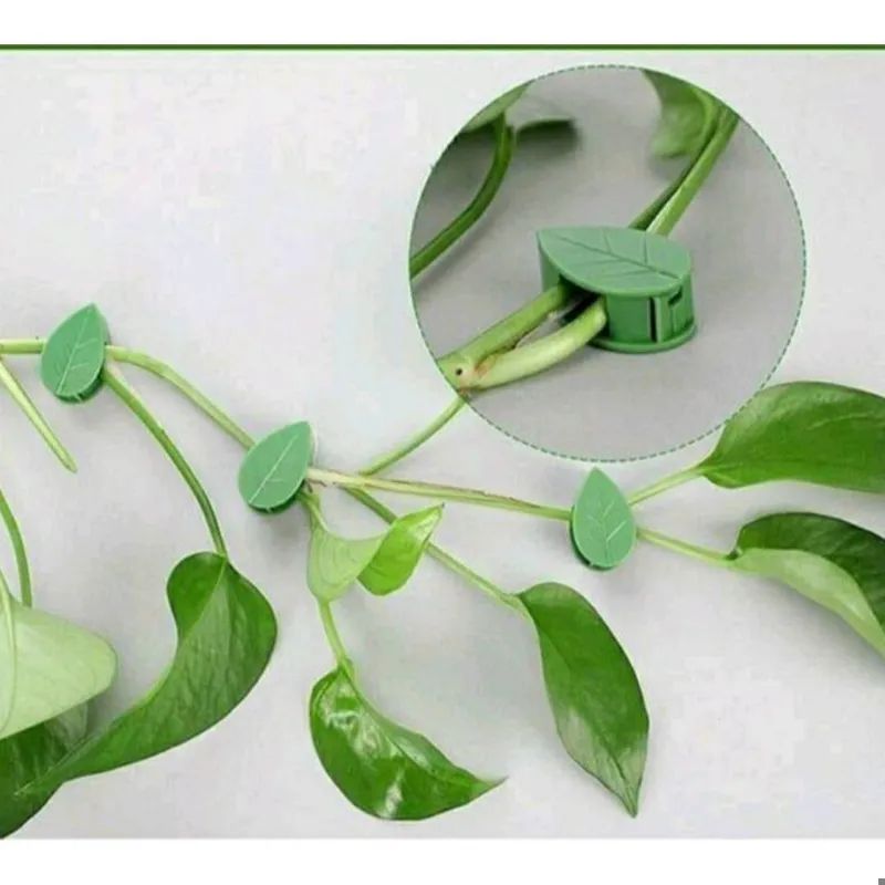 کلیپس نگهدارنده دارنده گیاه 10عددی کد 903