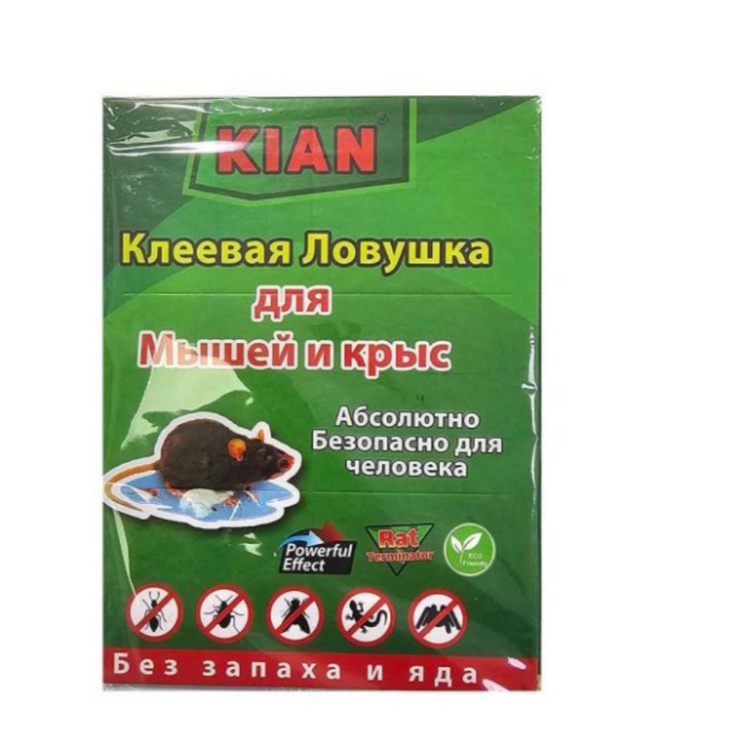 موش گیر کتابی