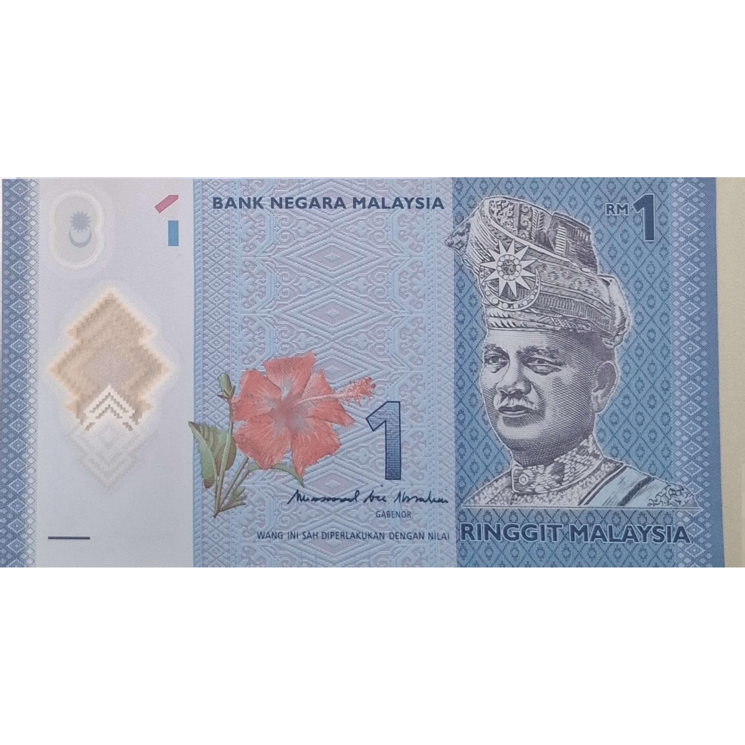 تک بانکی زیبا و ارزشمند یک رینگت مالزی پلیمری