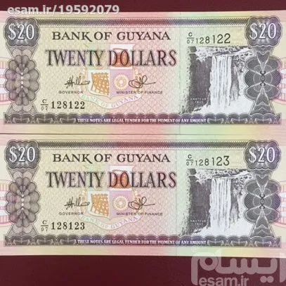 جفت بانکی زیبا و کلکسیونی 20 دلار گویان